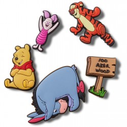 crocs,jibbitz,charms,winniethepooh