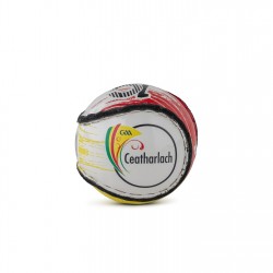 county,sliotar,51,carlow
