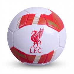 английската,висша,лига,liverpool,фланелки,от,различни,клубове,футболни,аксесоари,футболни,топки,всичко,за,футбола,на,разпродажба,игри,team,blast,football,l