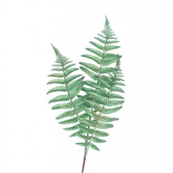 gisela,graham,gisela,spray,1,99,fern