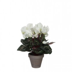 градина,/,на,открито,аксесоари,на,разпродажба,mica,cyclamen,in,pot,stan,grey,white