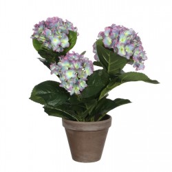 градина,/,на,открито,аксесоари,на,разпродажба,mica,hydrangea,in,pot,stan,grey,purple