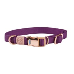 weatherbeeta,elegance,dog,collar,purple