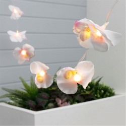 градина,/,на,открито,аксесоари,на,разпродажба,streetwize,20m,solar,lgt,99,orchid