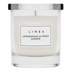 linea,glass,candle,lemongrass,&amp;,fresh,ginger
