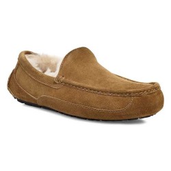 пантофи,мъжки,пантофи,ugg,ascot,slippers,chestnut,(brown)