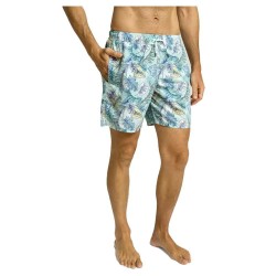 бански,гащета,мъжки,бански,костюми,hackett,leaves,swimming,shorts,multicolor