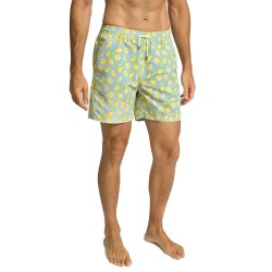 бански,гащета,мъжки,бански,костюми,hackett,lemon,swimming,shorts,green