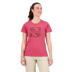 тениска,дамски,тениски,salomon,outlife,big,logo,short,sleeve,t,shirt,red,(earth,red)