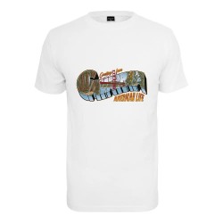 тениска,мъжки,тениски,mister,tee,american,life,greetings,t,shirt,white,(white)