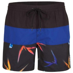 бански,гащета,мъжки,бански,костюми,o´neill,frame,block,swimming,shorts,blue,(blue,multi)