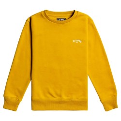 блуза,детски,блузи,billabong,arch,sweatshirt,amber,(yellow)