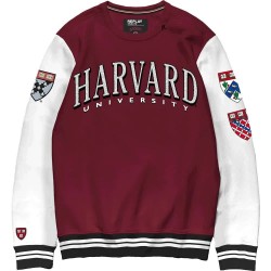 блуза,мъжки,пуловери,replay,dyed,brushed,cotton,sweatshirt,red