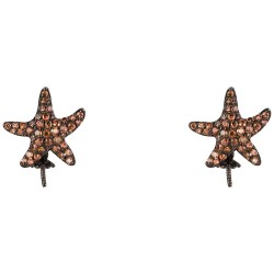 бижутерия,lancaster,jla,ear,star4,earrings,golden,(brown,ip,black)