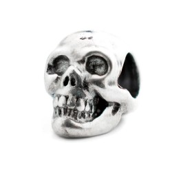 бижутерия,viceroy,vmm0222,00,charm,silver,(silver)