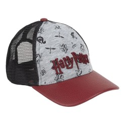 шапка,всички,шапки,harry,potter,harry,potter,cap,multicolor,(gray)