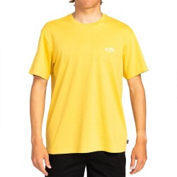 тениска,мъжки,тениски,billabong,ebykt00101,arch,short,sleeve,t,shirt,yellow,(sunny)