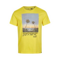 тениска,мъжки,тениски,o´neill,loren,short,sleeve,t,shirt,yellow,(dandelion)