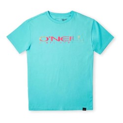 тениска,детски,тениски,o´neill,sanborn,short,sleeve,t,shirt,blue,(bachelor,button)