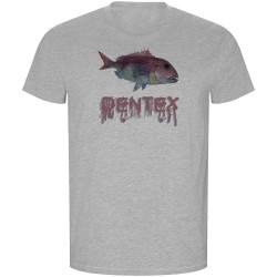 тениска,мъжки,тениски,kruskis,dentex,eco,short,sleeve,t,shirt,heather,grey,(grey)
