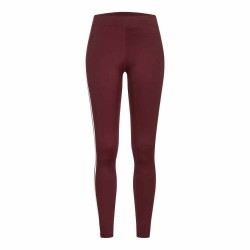 клин,дамски,клинове,дамски,чорапогащи,и,клинове,lonsdale,garrabost,leggings,red,(oxblood)