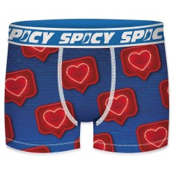 боксерки,мъжко,бельо,spicy,t679,2,boxers,multicolor,(multicolor)