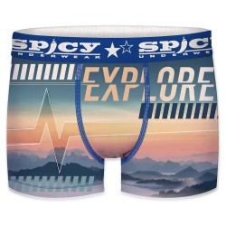 боксерки,мъжко,бельо,spicy,t680,4,boxers,blue,(multicolor)