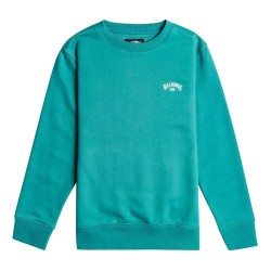 блуза,детски,блузи,billabong,arch,ebbft00107,sweatshirt,green,(seagreen)