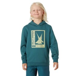 суичър,детски,блузи,helly,hansen,port,hoodie,green,(dark,creek)