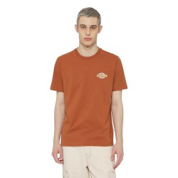 тениска,мъжки,тениски,dickies,ruston,short,sleeve,t,shirt,orange,(mocha,bisque)