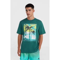 тениска,мъжки,тениски,o´neill,jack,neon,short,sleeve,t,shirt,green,(beetle,juice)
