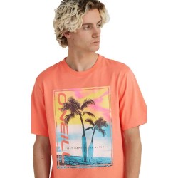 тениска,мъжки,тениски,o´neill,jack,neon,short,sleeve,t,shirt,living,coral,(orange)