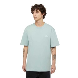 тениска,мъжки,тениски,dickies,summerdale,short,sleeve,t,shirt,blue,surf,(green)