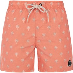 бански,гащета,мъжки,бански,костюми,protest,alvis,swimming,shorts,orange,(blood,orange)