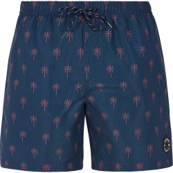 бански,гащета,мъжки,бански,костюми,protest,alvis,swimming,shorts,night,s,navy,(blue)
