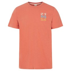 тениска,мъжки,тениски,protest,rocha,short,sleeve,t,shirt,blood,orange,(orange)