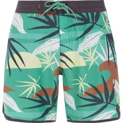 бански,гащета,мъжки,бански,костюми,protest,addo,swimming,shorts,frost,green,(multicolor)