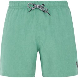 бански,гащета,мъжки,бански,костюми,protest,davey,swimming,shorts,frost,green,(green)
