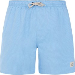 бански,гащета,мъжки,бански,костюми,protest,wyton,swimming,shorts,blue,(dusk,blue)