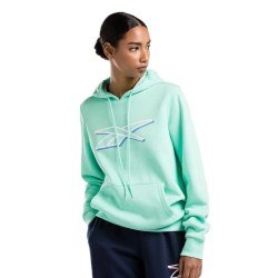 суичър,дамски,блузи,reebok,vector,graphic,oth,hoodie,green,(hint,mint)