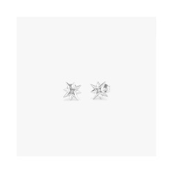 бижутерия,radiant,ry000032,earrings,silver,(grey)
