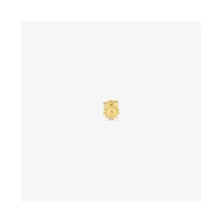 бижутерия,radiant,ry000155,earrings,golden,(golden)
