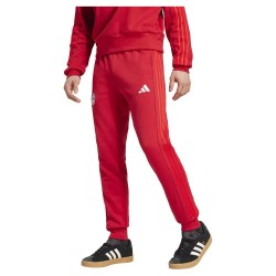 панталони,мъжки,панталони,adidas,fc,bayern,munich,24,25,dna,pants,red,(team,power,red,2)