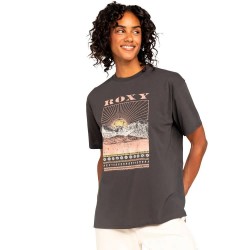 тениска,дамски,тениски,roxy,dreamer,a,short,sleeve,t,shirt,grey,(phantom)