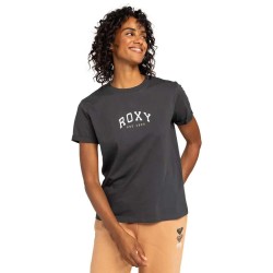 тениска,дамски,тениски,roxy,noon,ocean,b,short,sleeve,t,shirt,phantom,(grey)