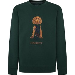 блуза,мъжки,пуловери,hackett,harry,sweatshirt,green