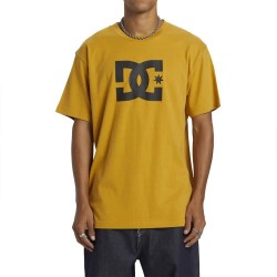 тениска,мъжки,тениски,dc,shoes,dc,star,hss,short,sleeve,t,shirt,yellow,(tinsel)