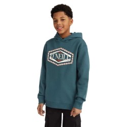 суичър,детски,блузи,o´neill,front,print,hoodie,alma,steel,(blue)