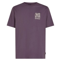 тениска,мъжки,тениски,o´neill,surf,heroes,graphic,short,sleeve,t,shirt,purple,(mauve,miracle)