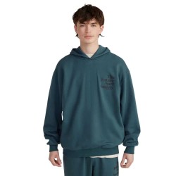 суичър,мъжки,пуловери,o´neill,the,future,surf,society,hoodie,alma,steel,(green)